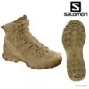 Chaussures SALOMON Quest 4D GTX FORCES 2 Coyote Pointure 42 -Salomon 00001 Chaussures SALOMON Quest 4D GTX FORCES 2 Coyote Pointure 42