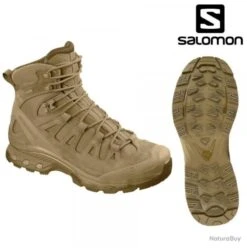 Chaussures SALOMON Quest 4D GTX FORCES 2 Coyote Pointure 42
