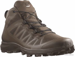 Chaussures Salomon Speed Assault 2 Marron