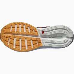 Chaussures De Jogging Pour Femme Salomon Sonic 5 Balance Grape Wine/Black -Salomon chaussures de jogging pour femme salomon sonic 5 balance grape wine black 183884 650x650 g1