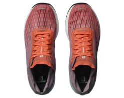 Chaussures De Jogging Pour Femme Salomon Sonic -Salomon chaussures de jogging pour femme salomon sonic 82066 650x650 g3