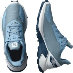 Chaussures De Running, Junior Salomon Alphacross Delphinium Blue 9 Chaussures De Running, Junior Salomon Alphacross Delphinium Blue -Salomon chaussures de running junior salomon alphacross delphinium blue 130456 650x650 g0