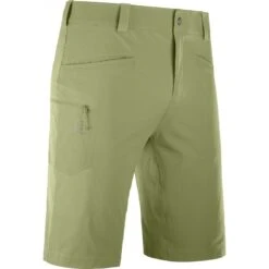 Short SALOMON Wayfarer Shorts Homme Martini Olive -Salomon short salomon wayfarer shorts homme martini olive 3