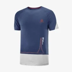 Tee-Shirt SALOMON Cross Run Graphic Paris Homme Dark Denim