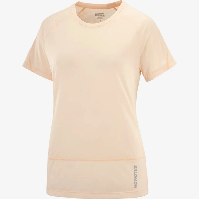 Tee-Shirt SALOMON Cross Run SS Tee Femme Cream Tan / Heather 5 Tee-Shirt SALOMON Cross Run SS Tee Femme Cream Tan / Heather – Image 3